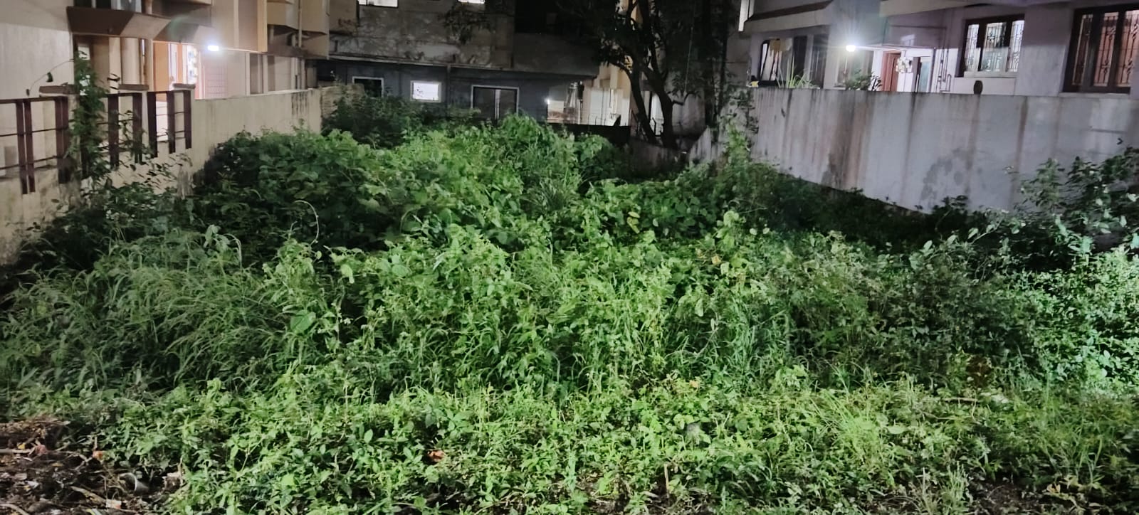 WhatsApp image for Residential Under Construction Plot in Belgaum | City: Belgaum | Builder: Independent | Sizes: 40*60 plot | Price List: N/A | Brochure: N/A | Floor Plan: N/A