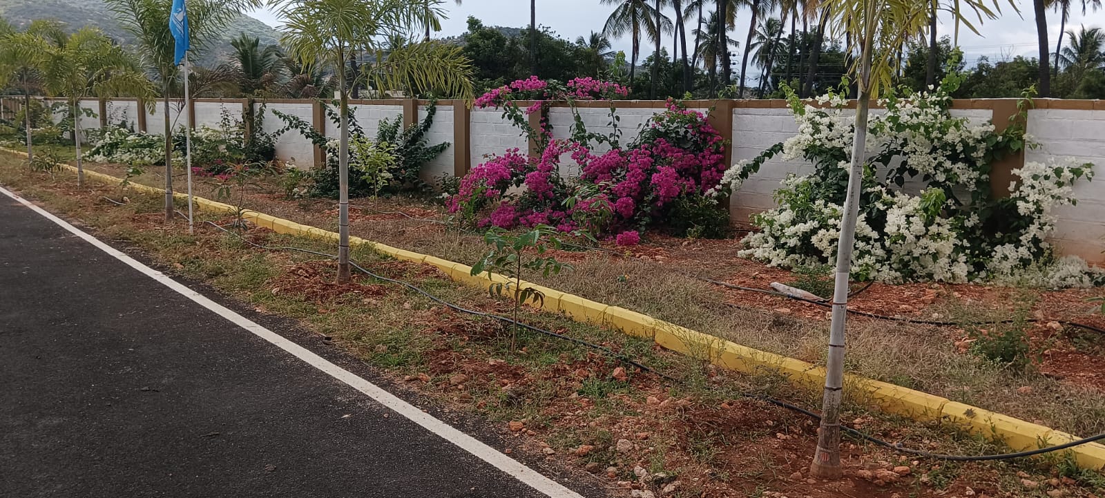 WhatsApp image for Om Muruga Garden Kottaipirivu Coimbatore | City: Coimbatore | Builder: Monisha developers | Sizes: 2 BHK | Price List: N/A | Brochure: N/A | Floor Plan: N/A