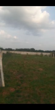 WhatsApp image for Agriculture Land for Sale in Moinabad Reddy Pally | City: Hyderabad | Builder: Independent | Sizes: 1331 Sqyad Open Plot | Price List: N/A | Brochure: N/A | Floor Plan: N/A