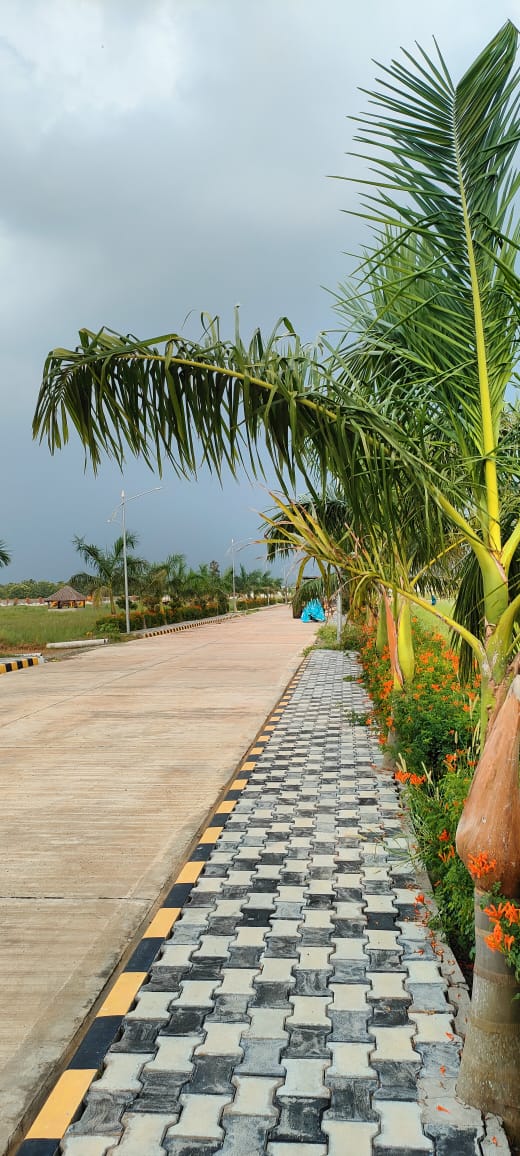 Highway Facing Plot for Sale in Vizayanagaram