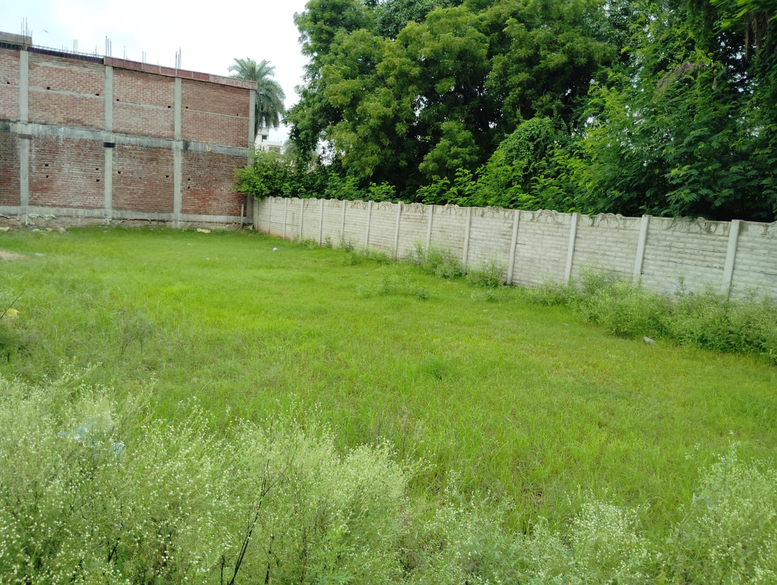 Residential Land for Sale near Bhodpour Choura Gwalior