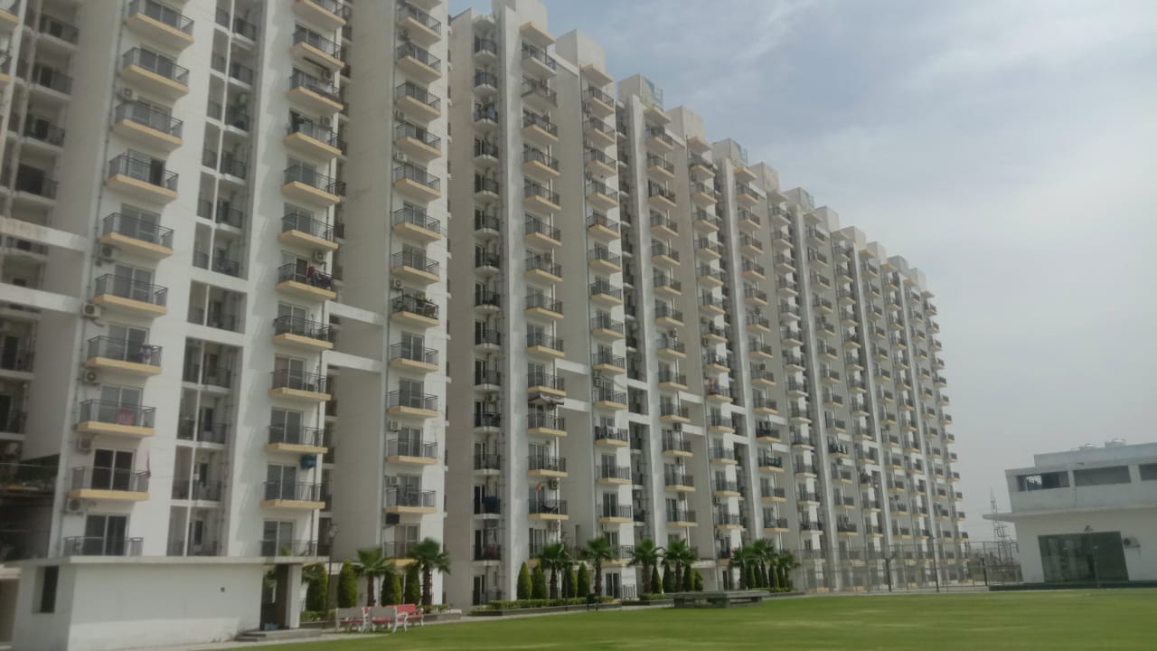 WhatsApp image for Umbera Greens Sangowal Ludhiana Rental | City: Ludhiana | Builder: Umbera Group | Sizes: 2 BHK | Price List: N/A | Brochure: N/A | Floor Plan: N/A