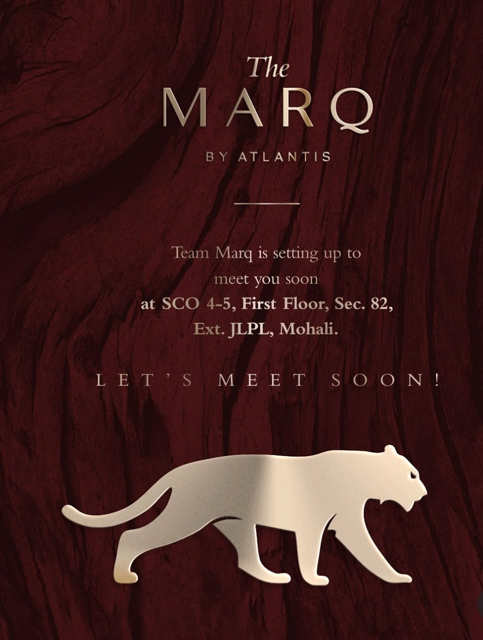 THE MARQ by ATLANTIS GROUP