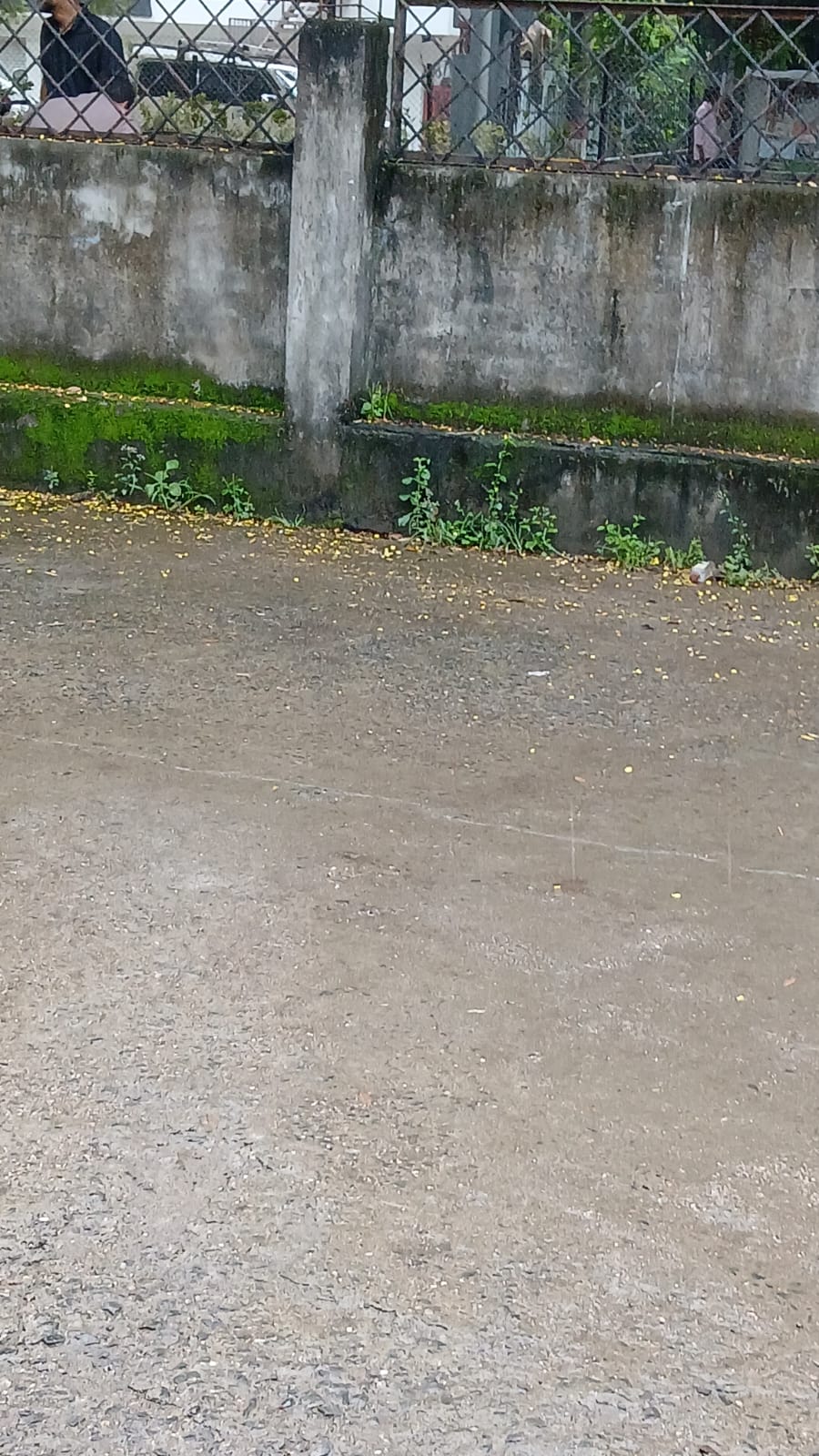 WhatsApp image for Residential Plot Near Veterinary College Nagpur | City: Nagpur | Builder: Independent | Sizes: Plot | Price List: N/A | Brochure: N/A | Floor Plan: N/A