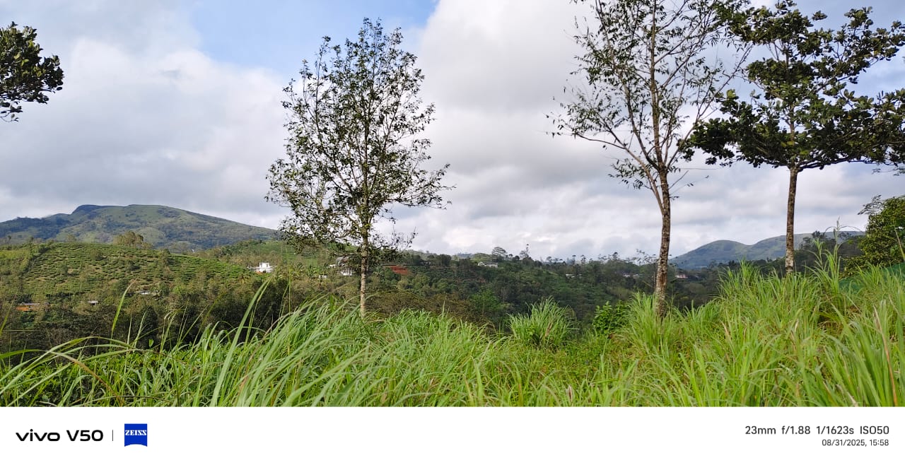 WhatsApp image for Ideal Plot for Resort Villa Project Vagamon | City: Kottayam | Builder: Independent | Sizes: Plots | Price List: N/A | Brochure: N/A | Floor Plan: N/A