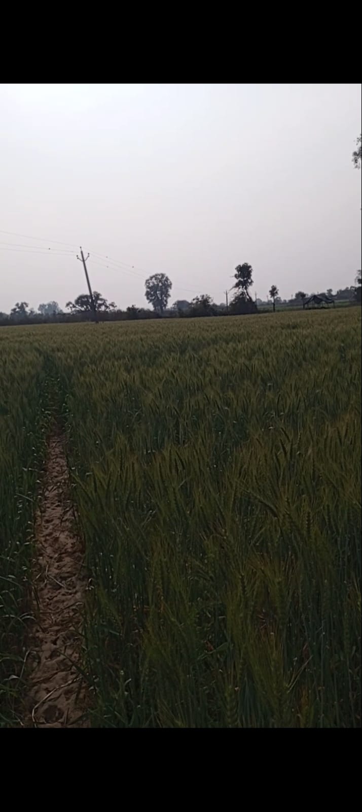 Agriculture Land for Sale near Manikpur Market