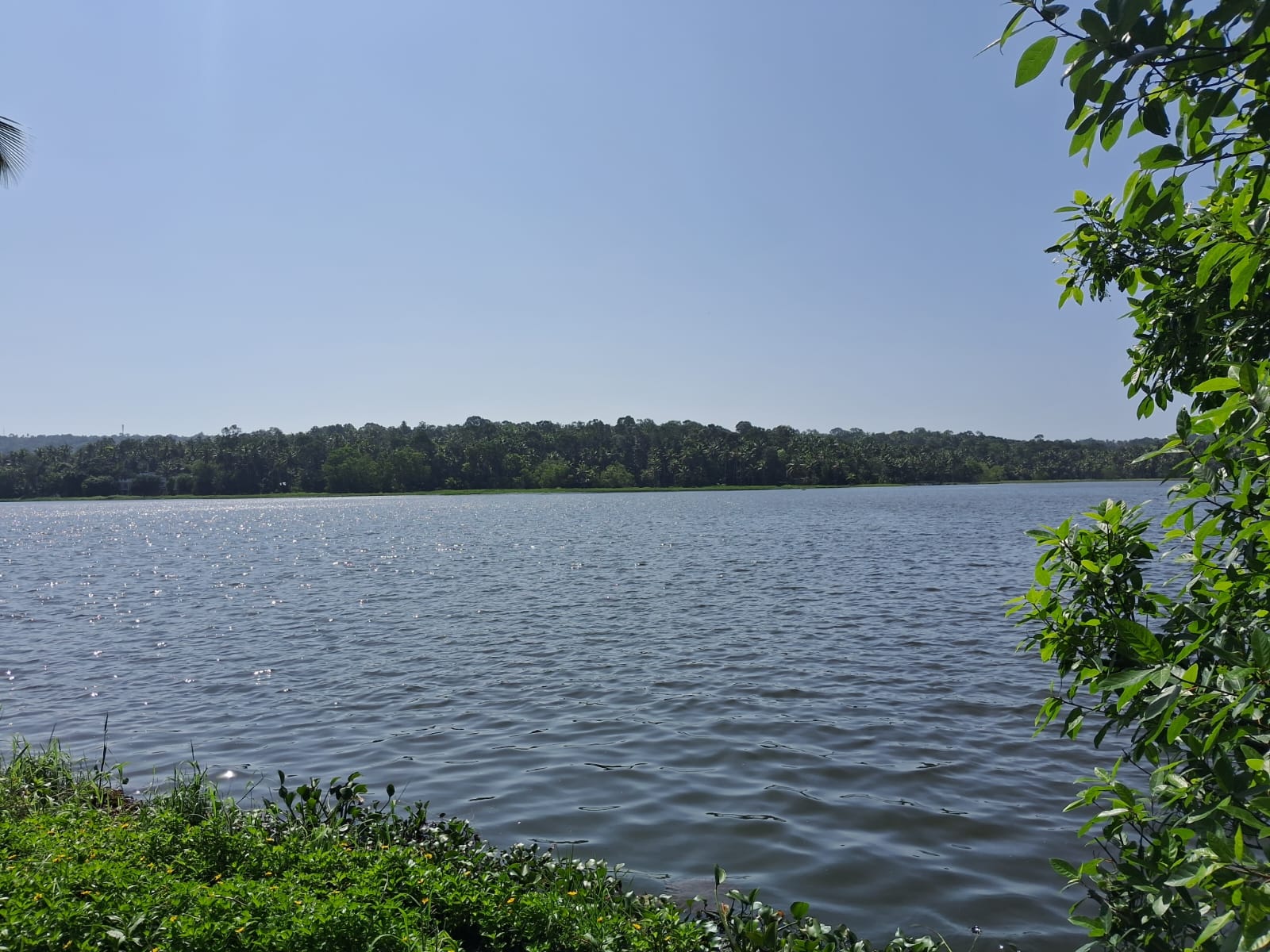 Lake Facing Prime Land in Vavamoola Kovalam