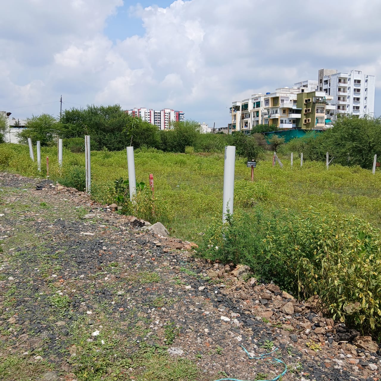 Investment Opportunity in Isasani Residential Plot